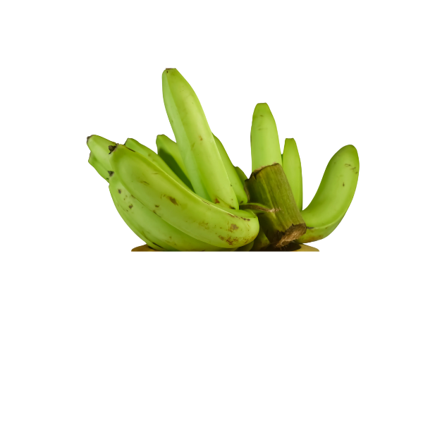 MATOKE (BANANA)
